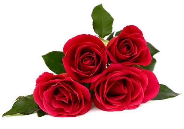 9朵红玫瑰的花语，9朵红玫瑰代表什么意思？