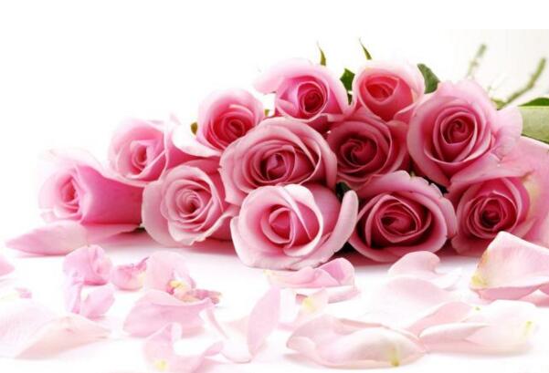 39朵粉玫瑰的花语，39朵粉玫瑰代表什么意思？